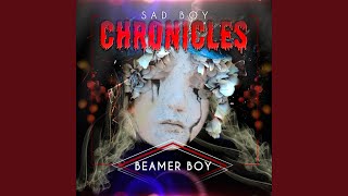 Reality Is Insanity - Beamer Boy