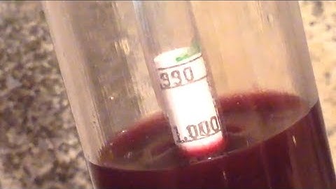 #5 Making Wine (Part 5) Final Specific Gravity