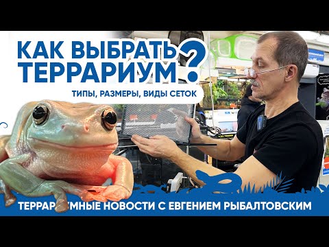 🦎 Террариумные новости с Евгением Рыбалтовским. Как выбрать террариум.