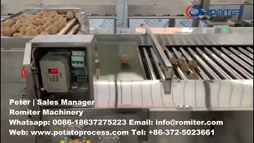 Automatic Potato Size Grading Sorting Machine