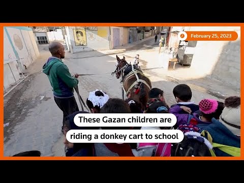 Gaza man offers students donkey cart ride to school