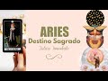 ❤️ARIES! DEJAME ENTRAR! ADVERTENCIA IMPORTANTE ⚠️‼️❤️‍🔥 TAROT AMOR / DESTINO Y ANCESTROS