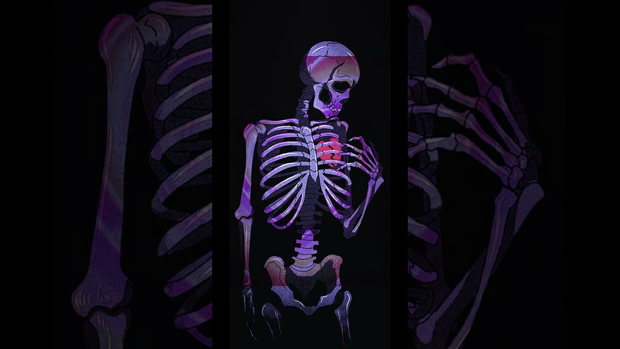 Skeleton Wallpapers HD Free Download  PixelsTalkNet