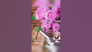 سورة مبارکة النازعات صوت سعدالغامدي