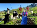 A mix of spring vegetables and lamb in the village