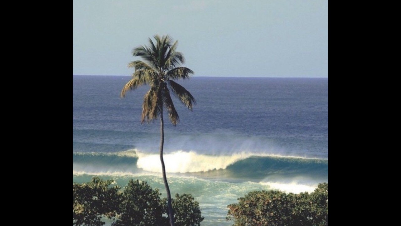 (FREE) WIZ KHALIFA X SLEDGREN X CARDO TYPE BEAT - 