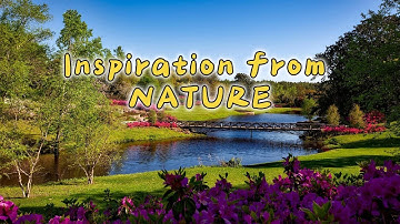 This Video Uses Nature to Show What Words Never Could 🌊🔥🌪️ Prepare to Be Changed…