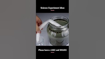 EXPERIMENT | Science Experiment Ideas | Push The Boundaries Of Your Knowledge Part 13