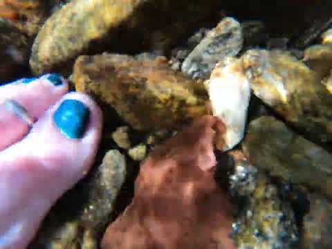 Barefoot Hiking | Creek Walk | Pisgah National Forest