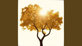 Download Lagu You're still the one MP3