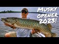 Musky fishing is back in sunset country opening day of 2023