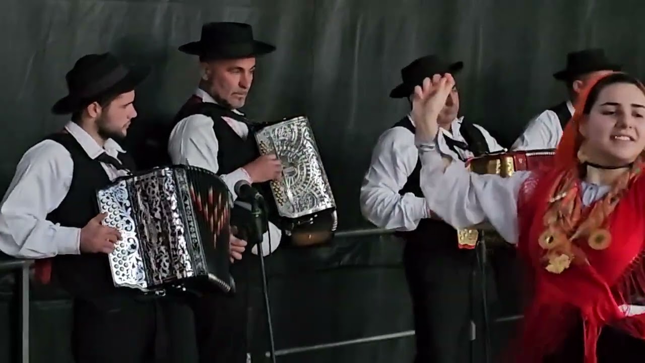 Cana Verde Geral I Lavradeiras de Gandra I 01.2024