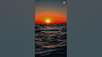 احترام القران الكريم و استغفرالله ربك في التعليقات  تب اوصل 2000 مشترك