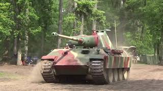 Panther Compilation of Militracks 2019