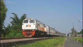 Semboyan 35 super panjang dari lokomotif CC206 berdinas kereta api pandalungan