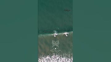 أول #سورة_الحديد إلى الآية 6