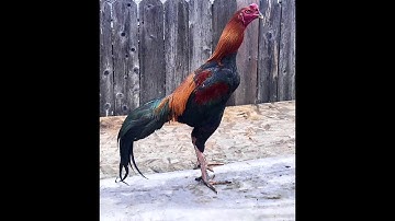 Update on my GA x Diablo and more.