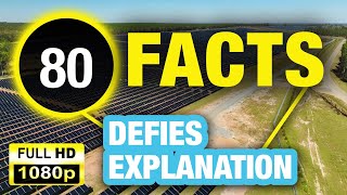 80 Unbelievable Facts That Will Make You Curious!