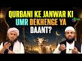 Mufti Tariq Masood Ko Jawab - Qurbani Ke Janwar Ki Umr Dekhenge Ya Daant? By Shaikh Shaban Bedar