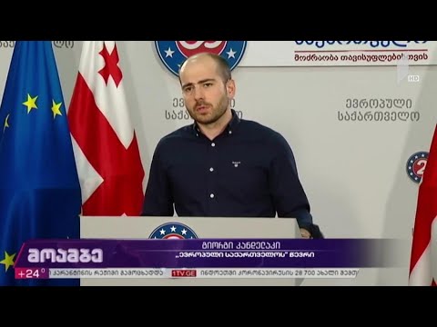 „ევროპული საქართველოს“ განცხადება