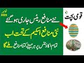 National Savings Released New Profit Rates November 2025 Ll Behbood Saving Certificate Profit Rate 