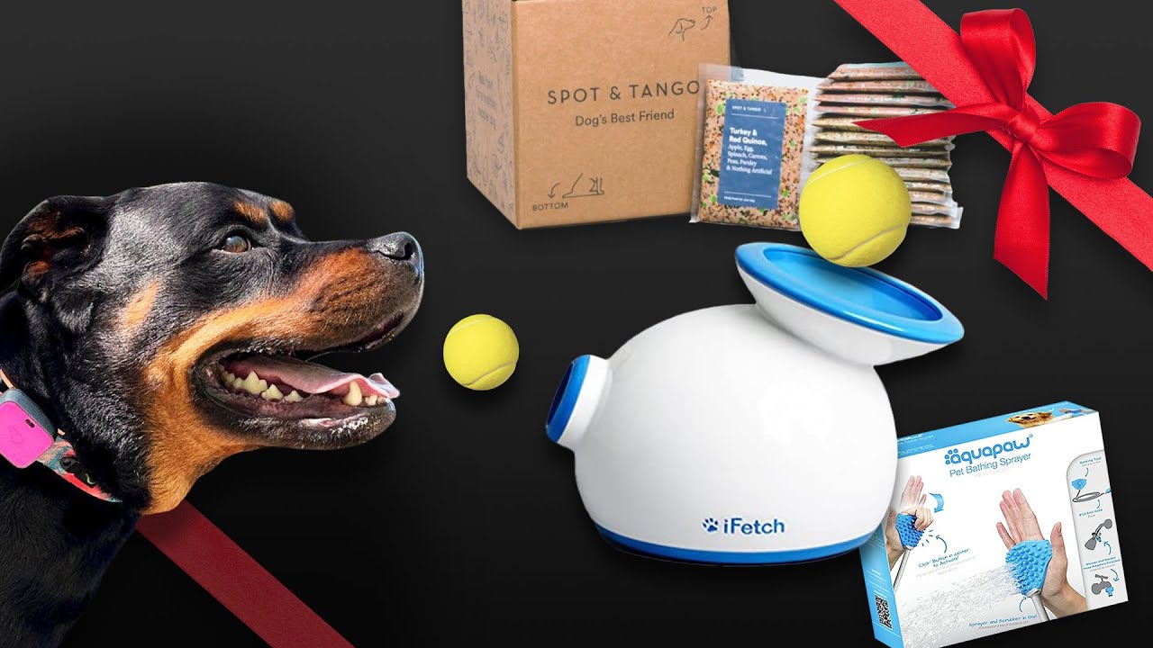 Best gifts for dogs and true dog lovers 2022