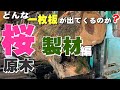 岩手のサクラ原木を製材しました。二股の原木は製材が大変です。Japanese cherry Sawing (English subbed)