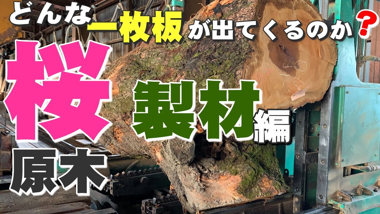 岩手のサクラ原木を製材しました。二股の原木は製材が大変です