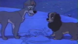 Lady and the Tramp (1955) - Bella Notte