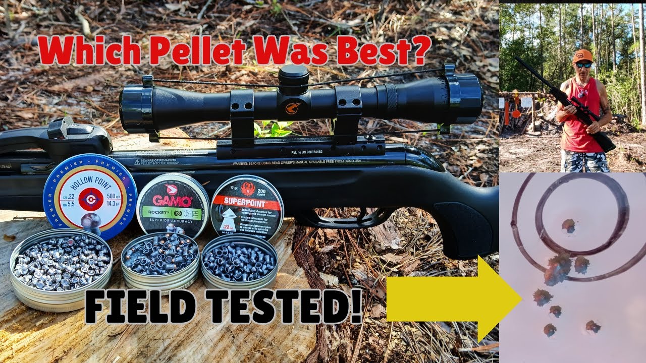 Gamo Air Rifle .22 Caliper Pellet Review/Comparison With Firing Range ...