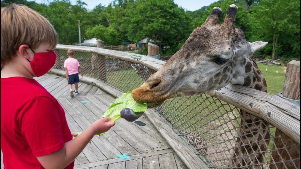 cleveland zoo school field trip