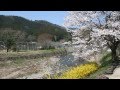 「春の風」 MV