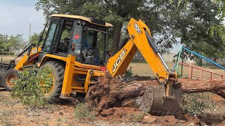 JCB 3DX Removes Huge Old Tree from School Ground | Amazing Machine Power || JCB Video 