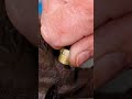 PART 3, Brake Caliper Bleed Screw Repair Kit | Laser Part No. 8670 | #Shorts