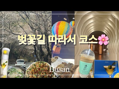 Busanvlog-달맞이벚꽃길,아난티이터널져니,감자육수로만든미니갑오징어칼국수,저속모화올리브레몬영양제추천,대변한오징어