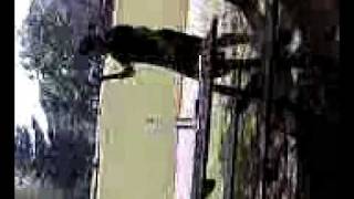 Panaché Partie A Brive