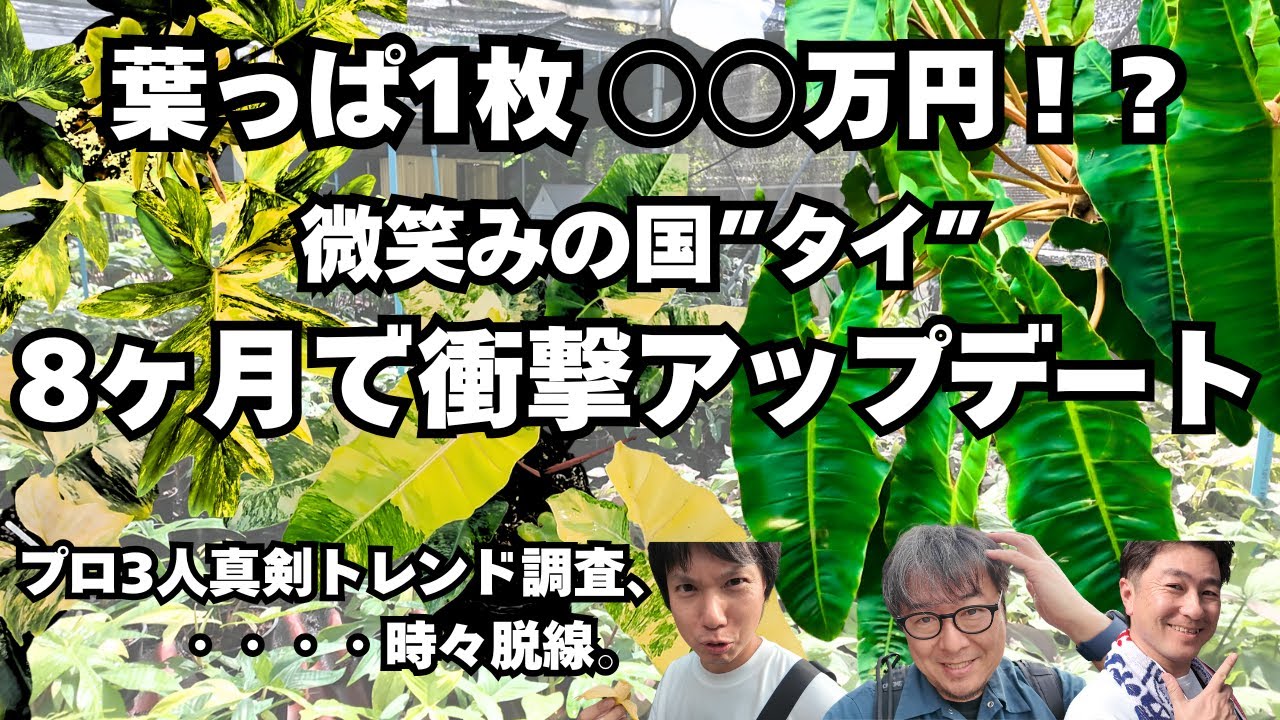 8ヶ月ぶり、2度目のタイは前回と比較して驚愕…タイの植物市場がアップデートされすぎてた