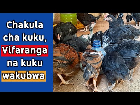 Video: Jinsi Ya Kaanga Kijiti Cha Kuku Cha Kuku