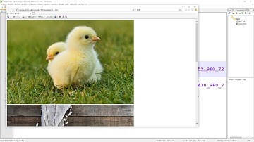 [HTML] 이미지 태그의 속성 알아보기