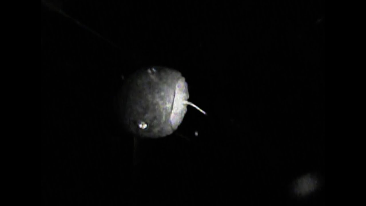 Ice Fishing at Night for Burbot using an Underwater Camera