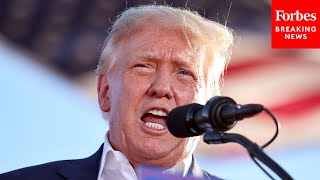BREAKING: AG Garland Will Appoint Special Counsel To Determine If Trump Faces Charges: Report