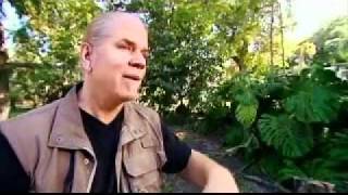 TV Made Me Do It -  PART 1 | Myrtle Beach Safari