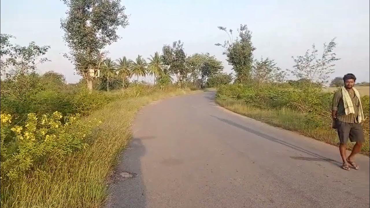 Land for sale in Sira taluk YouTube