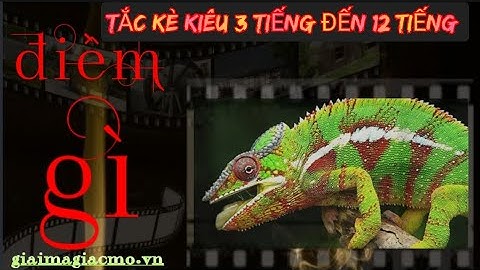 Tắc Kè Kiêu 3 Đến 12 Tiếng Hên Hay Xui ☯ GiaiMaGiacMo.vn👁 Giải Mã Điềm Báo Tắc Kè Kiêu ✅ CHÍNH XÁC