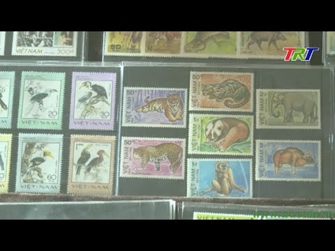 Video: Cách Thu Thập Tem Bưu Chính