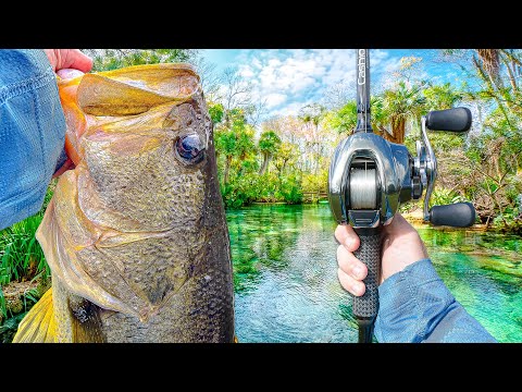 Fishing A HIDDEN Lagoon For MONSTER Bass (Multiple GIANTS) thumbnail