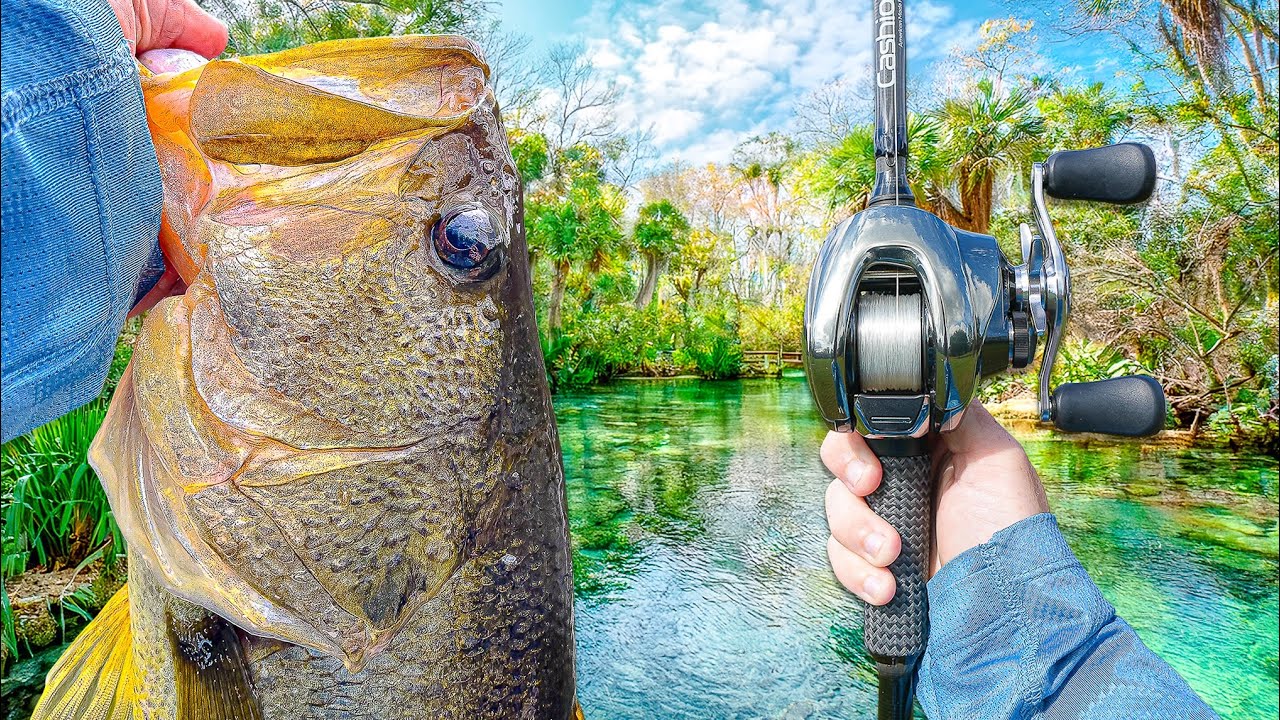 Fishing A HIDDEN Lagoon For MONSTER Bass (Multiple GIANTS)