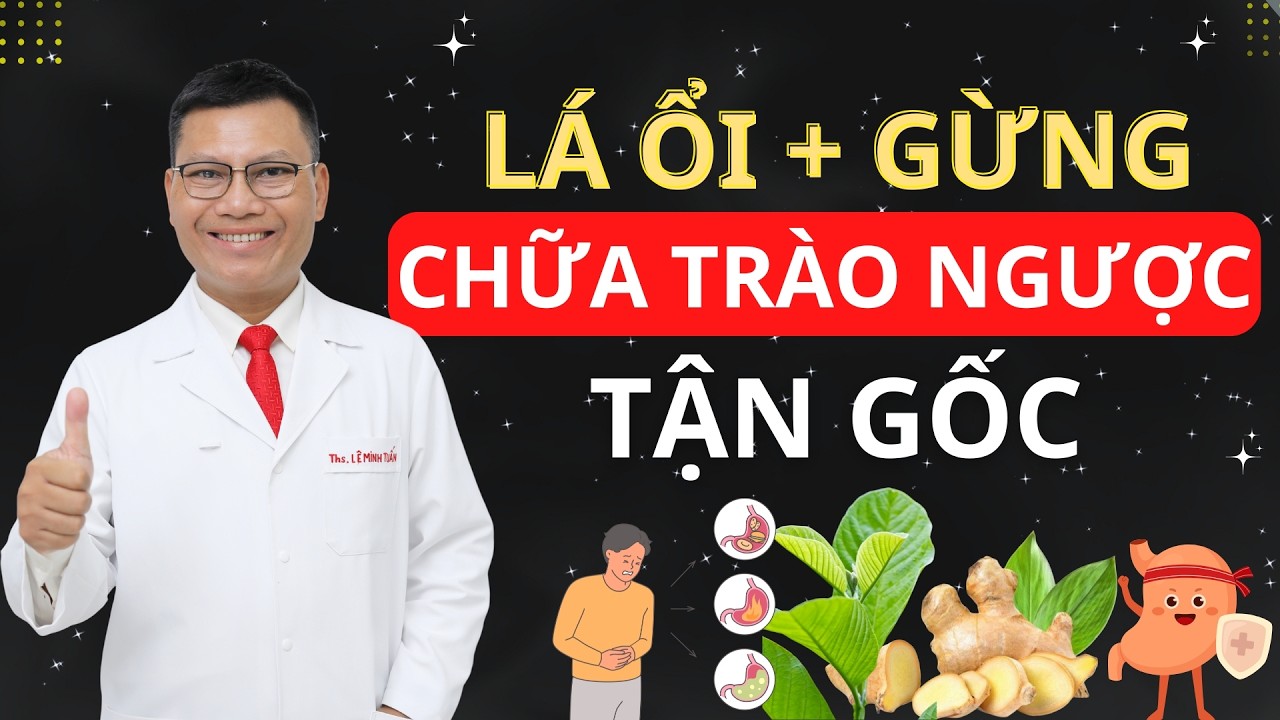 CÁCH CHỮA TRÀO NGƯỢC DẠ DÀY BẰNG LÁ ỔI VÀ GỪNG – Đơn Giản Hiệu Quả Sau 1 Tháng! | Tuấn Thầy Thuốc