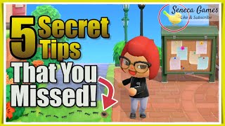 5 Secret Tips You Missed in Animal Crossing New Horizons: tips and tricks details you should know