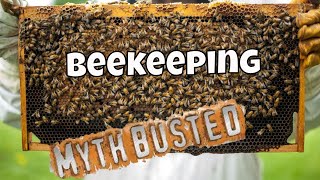 Everything you thought you knew about #beekeeping may BEE wrong | #beekeeping101